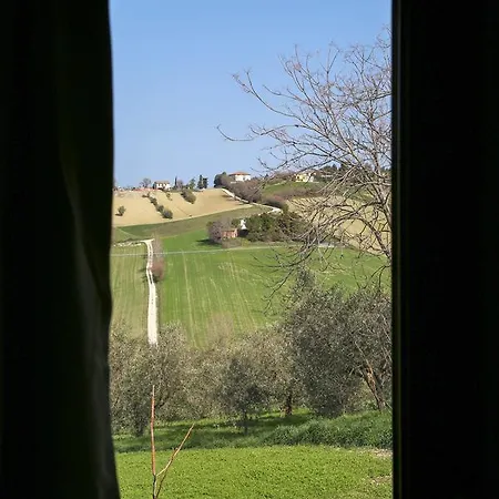 Cerasus 4*